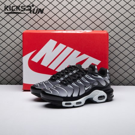 Nike Air Max Plus Black Silver White DM0032-003 Unisex